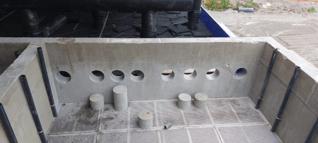 whatsapp image 2025 11 13 at 16.37.06